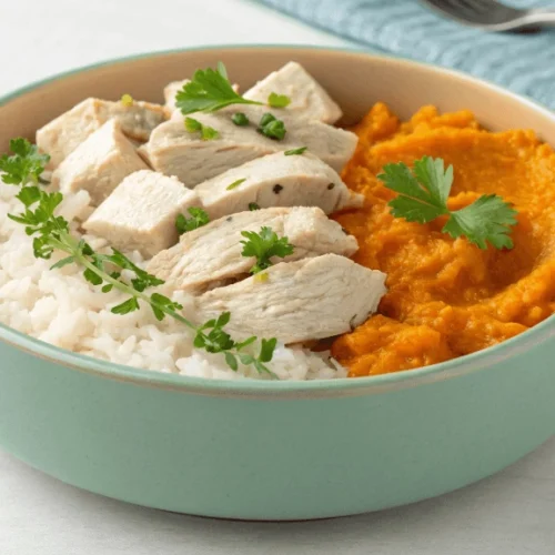 Bland dog food recipe with chicken and rice in a home kitchen
